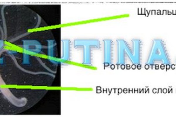 Кракен не работает сегодня