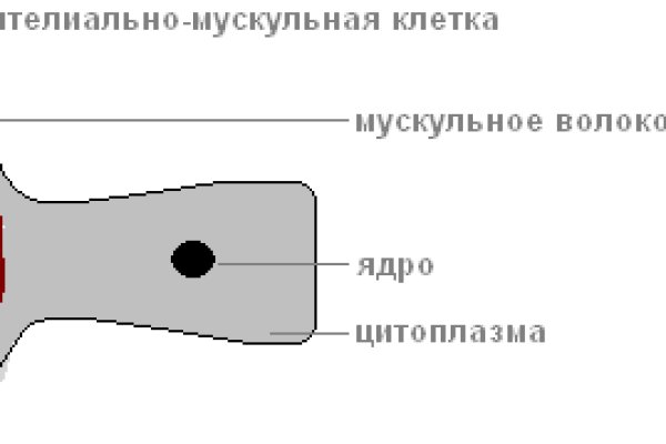 Не могу зайти в кракен