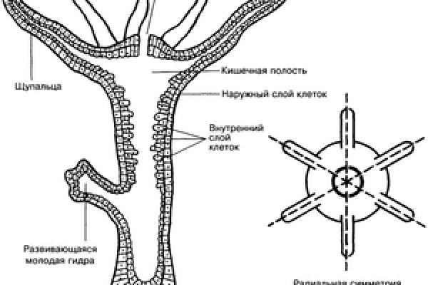 Как купить через кракен