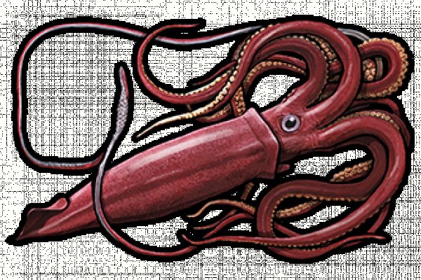 Kra27at