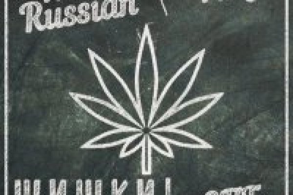 Как найти актуальную ссылку на кракен