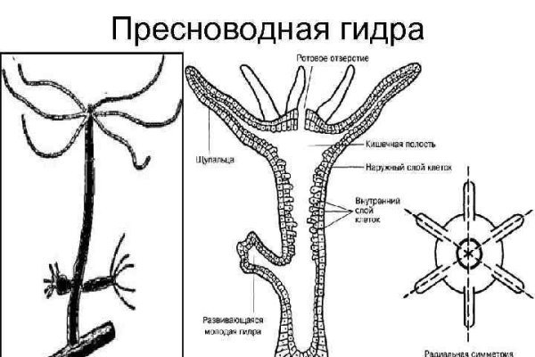 Кракен настоящий сайт