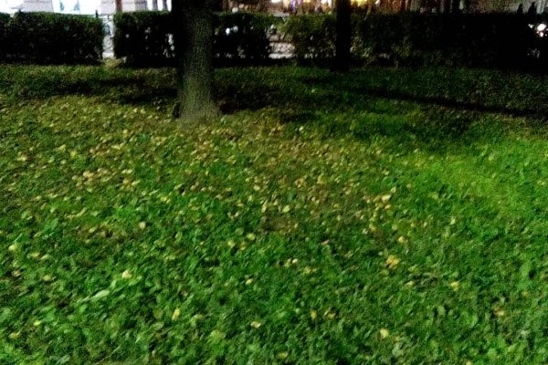 Кракен вход