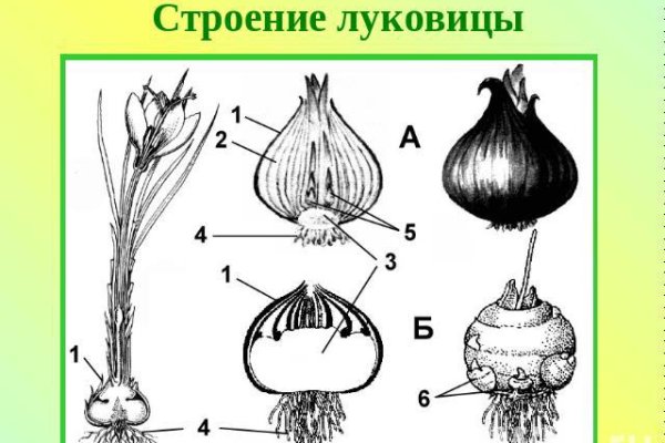 Кракен наркоторговля