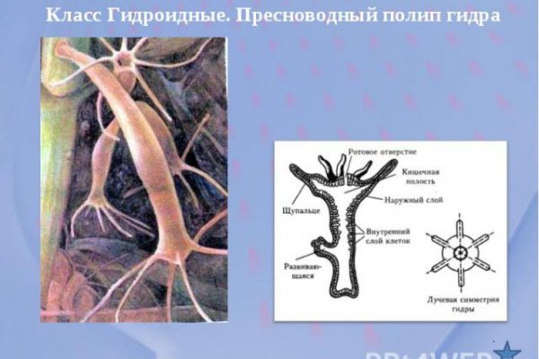 Кракен это современный даркнет маркетплейс